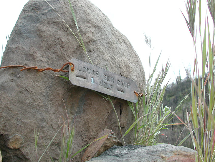 Lower Bee Camp, Ventana Wilderness photo