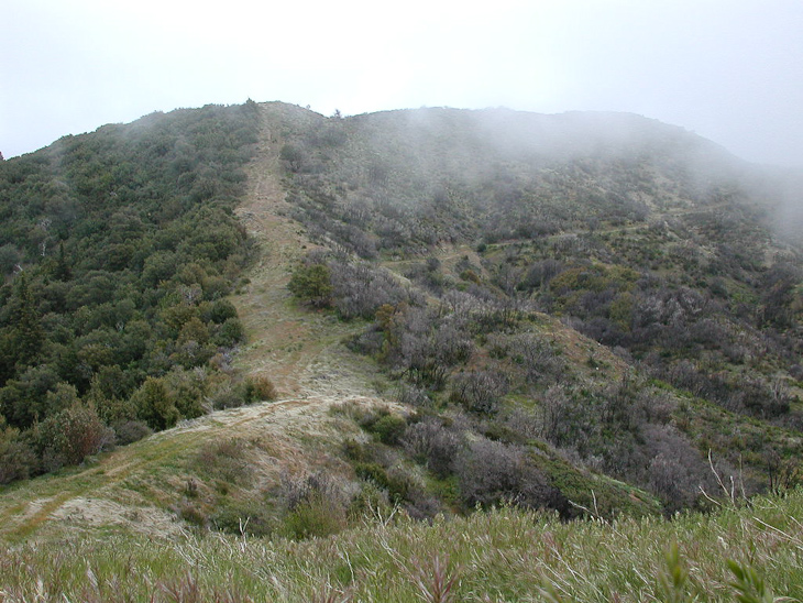 Fog Arrives, Ventana Wilderness photo