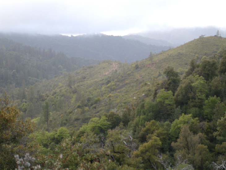Time to Leave, Ventana Wilderness photo