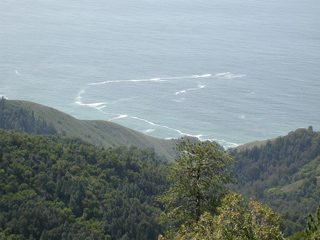 Big Sur Coast, Ventana Wilderness photo