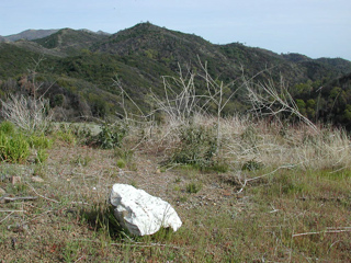 Marble Marker, Ventana Wilderness photo