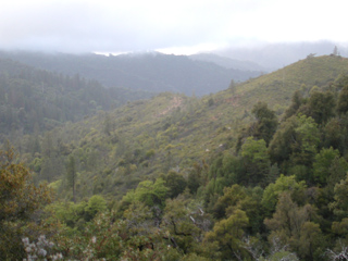 Time to Leave, Ventana Wilderness photo