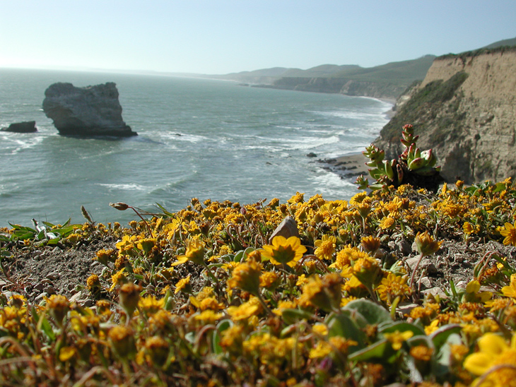Point Reyes Coast, Point Reyes photo