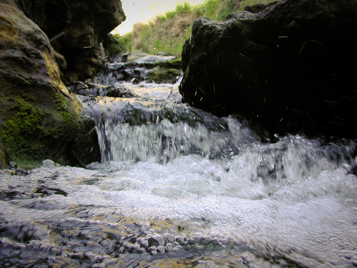 Coast Creek, Point Reyes photo