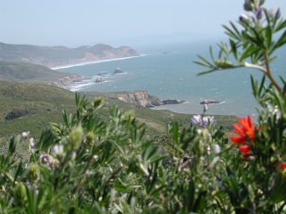 Point Reyes Coast, Point Reyes photo