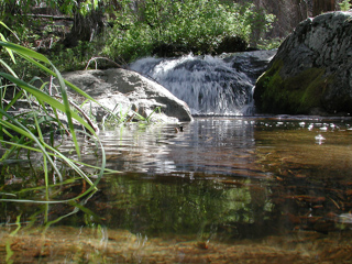 Cottonwood Creek, Hetch Hetchy photo