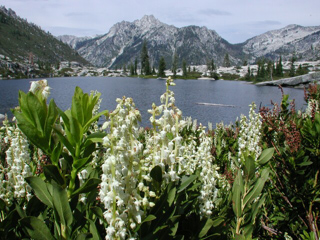 Boulder Creek Lakes, Trinity Alps photo