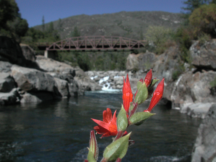 Lumsden Bridge, Wildcat I photo