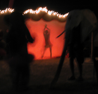 The Beautiful Shadow, Burning Man photo