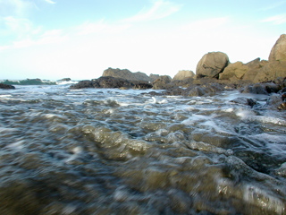 Cove, Kari and Tom's Wedding photo