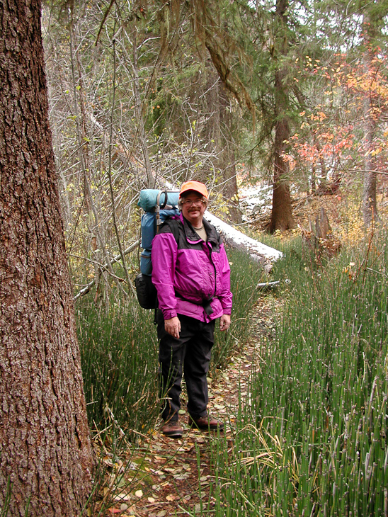 Dave, Montana photo