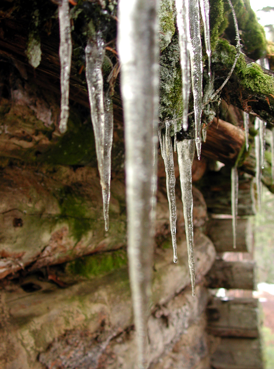 Icicles on Carron Cabin, Montana photo