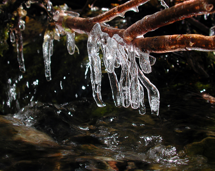 Icicles, Montana photo