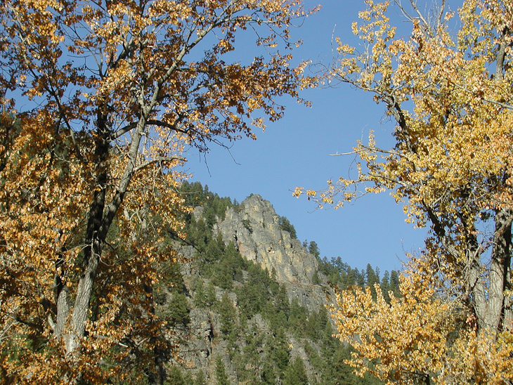 Cliffs across Rock Creek, Montana photo