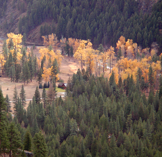 Rock Creek Valley, Montana photo