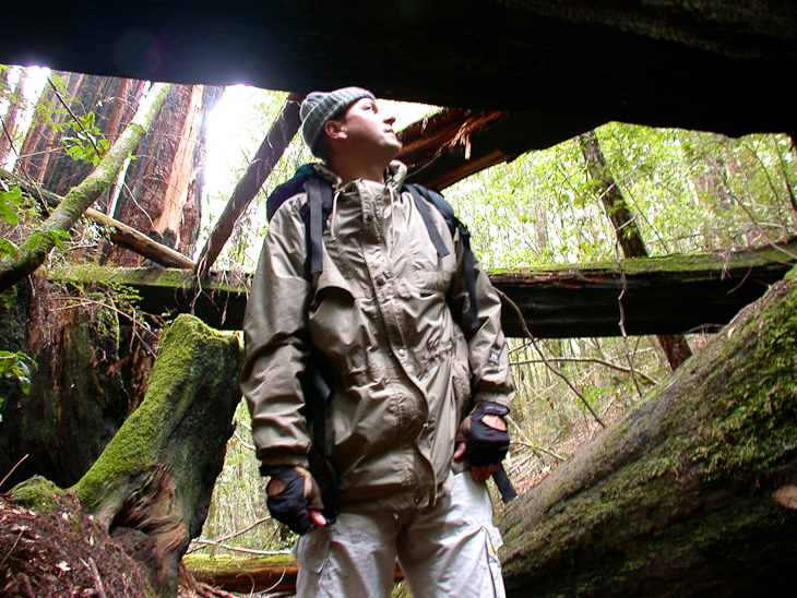 Don in the Redwoods, Butano Backpacking photo