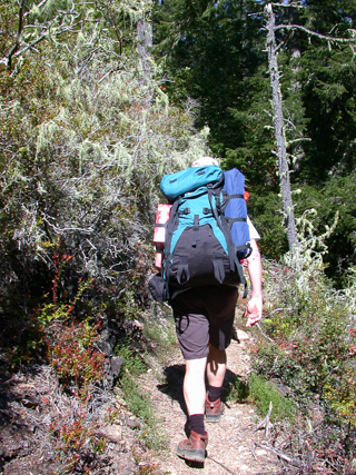 On the Trail, Butano Backpacking photo