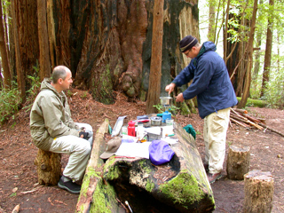 Log Table, Butano Backpacking photo