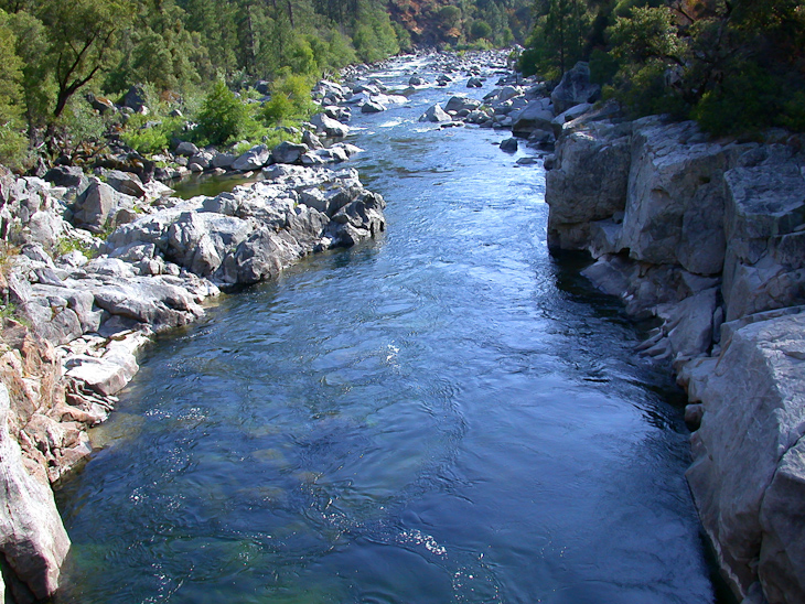 Upwelling, Wildcat photo