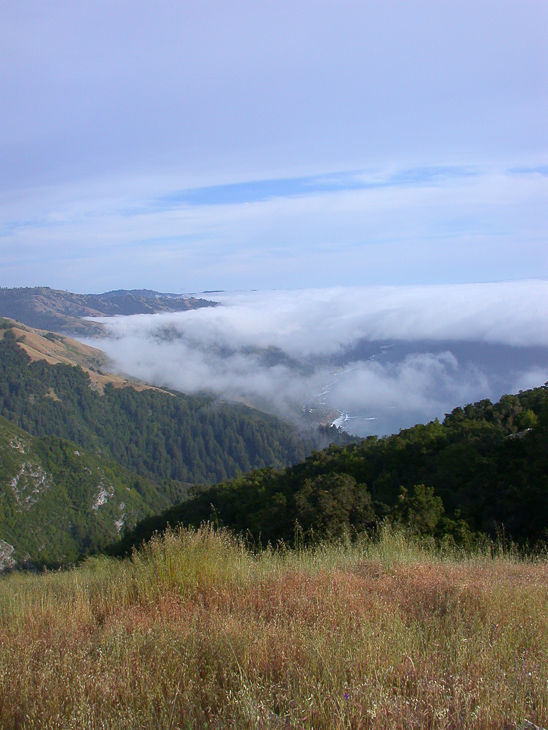 Ventana Wilderness photo