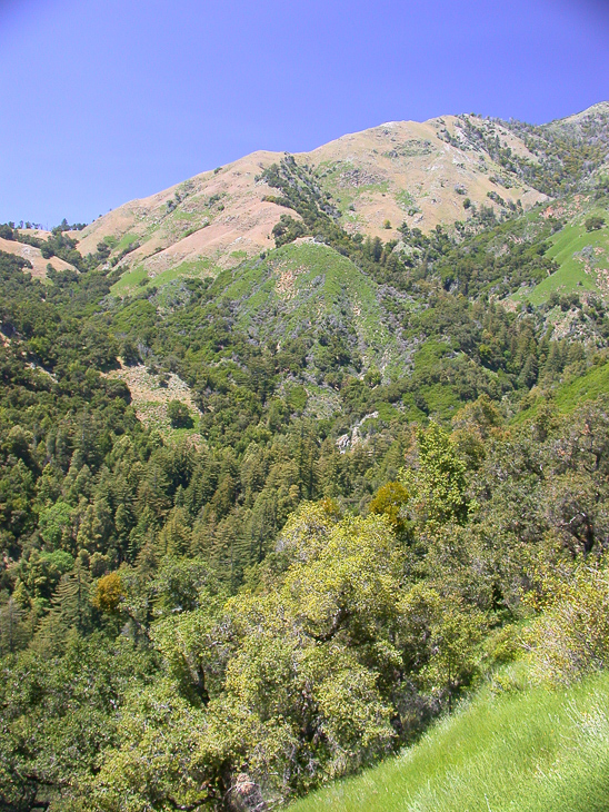 Limekiln Canyon, Ventana Wilderness photo