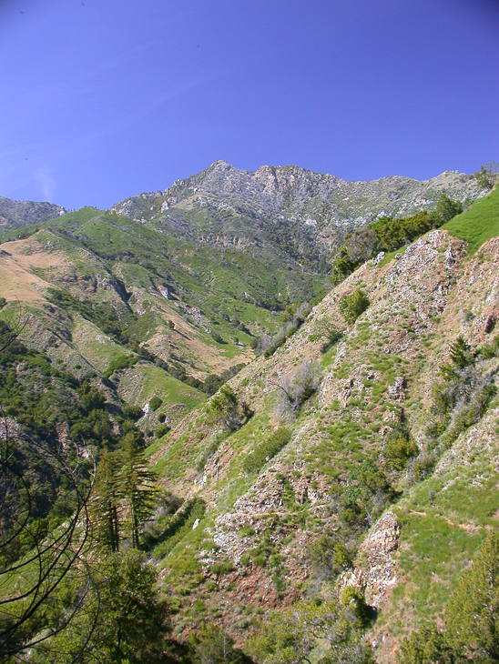 Cone Peak, Ventana Wilderness photo