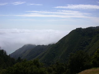 Big Sur Coast, Ventana Wilderness photo