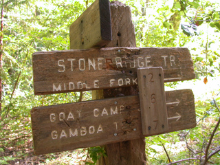 Trail Junction, Ventana Wilderness photo