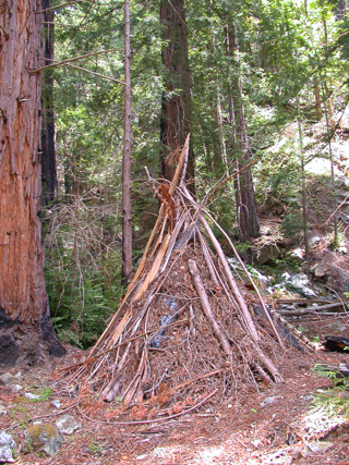Redwood Tipi, Ventana Wilderness photo
