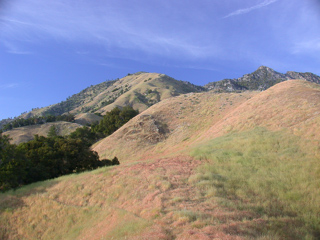 Cone Peak, Ventana Wilderness photo