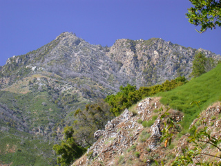 Cone Peak, Ventana Wilderness photo