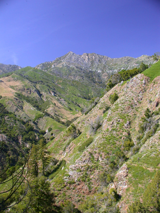 Cone Peak, Ventana Wilderness photo