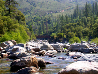 Tuolumne, Wildcat photo