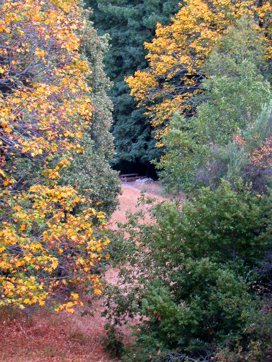 Pico Blanco camp, Pico Blanco photo