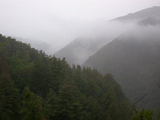 Big Sur to the Sea, Ventana Wilderness photo