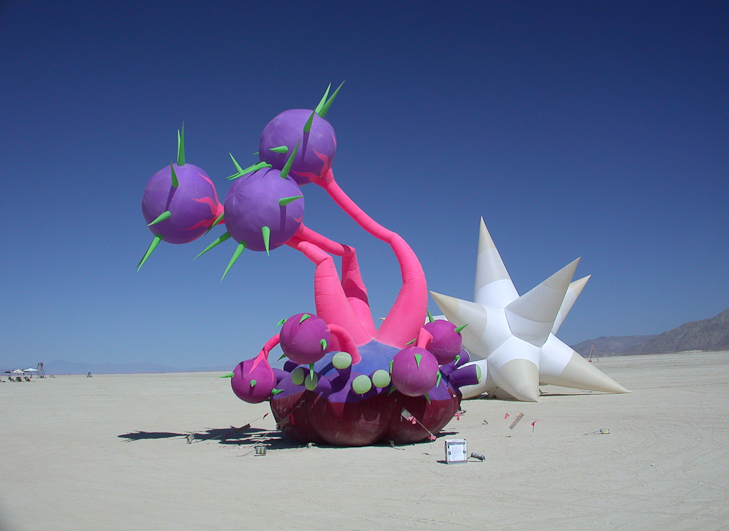 Burning Man photo