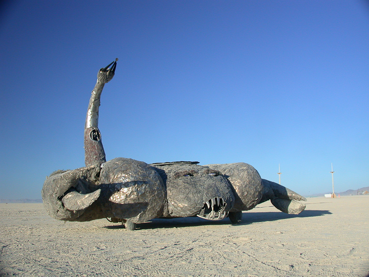 Burning Man photo