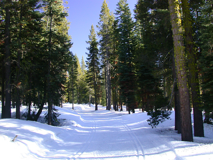 Dave's Trip West photo