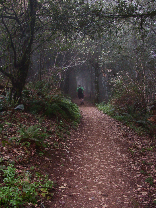 Down the Trail, Dave's Trip West photo