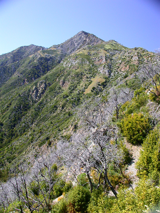 Ventana Wilderness photo