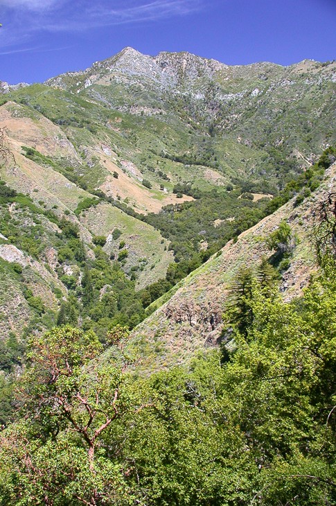 Ventana Wilderness photo