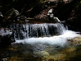 Ventana Wilderness photo