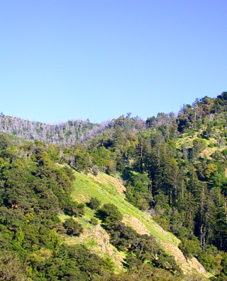 Ventana Wilderness photo