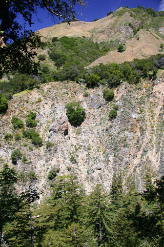 Ventana Wilderness photo