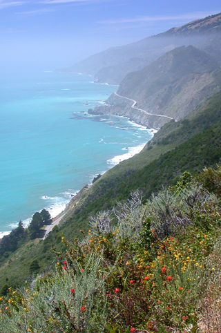 Ventana Wilderness