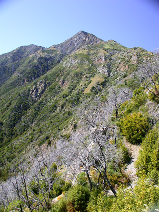 Ventana Wilderness photo