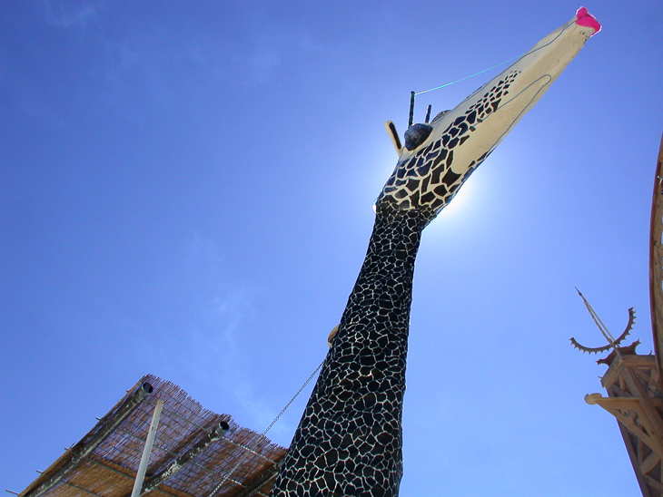 Burning Man photo