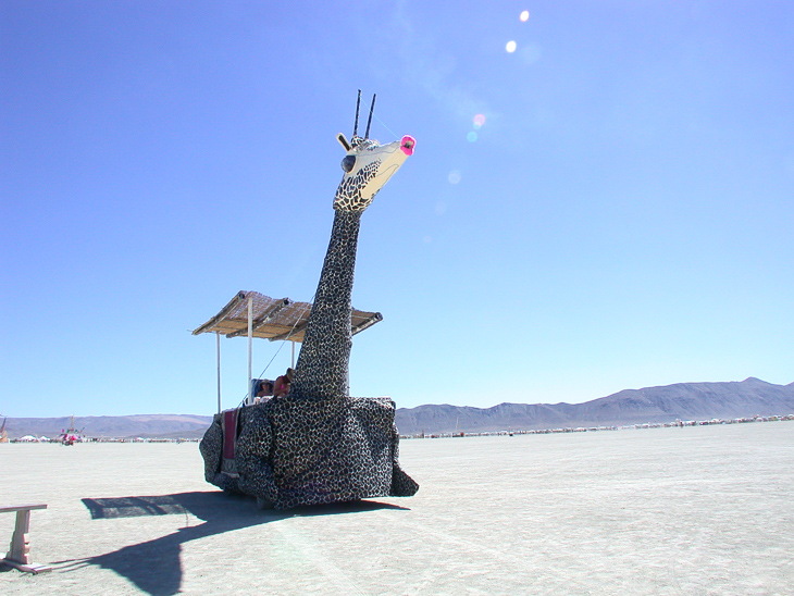 Burning Man photo