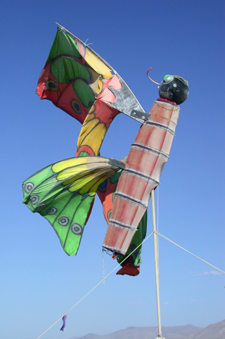 Burning Man photo