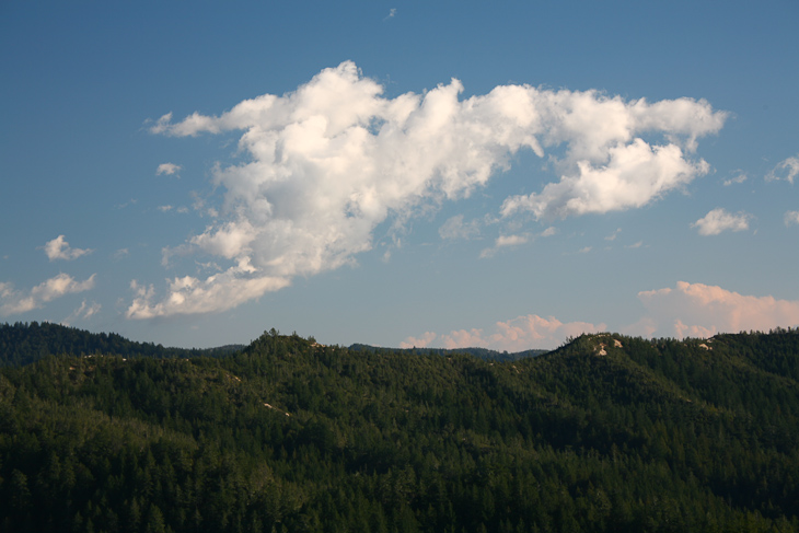 SE towards Big Basin, Butano photo